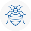 Bed Bug Extermination In Oxfordshire